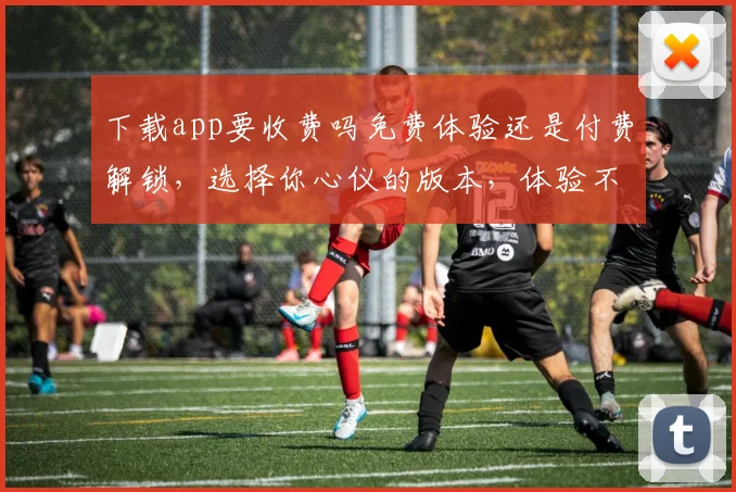 下载app要收费吗免费体验还是付费解锁，选择你心仪的版本，体验不凡