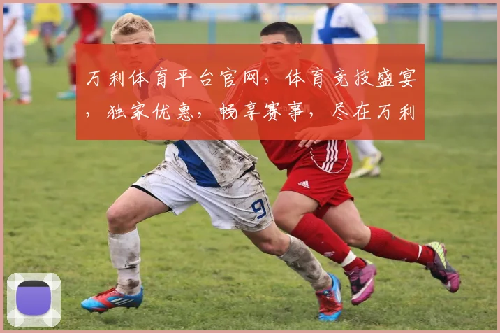 万利体育平台官网，体育竞技盛宴，独家优惠，畅享赛事，尽在万利，不容错过