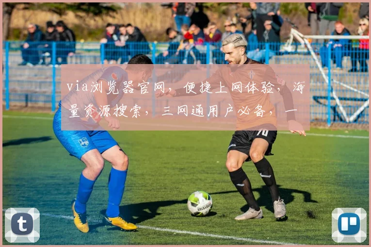 via浏览器官网，便捷上网体验，海量资源搜索，三网通用户必备，一键开启高效生活